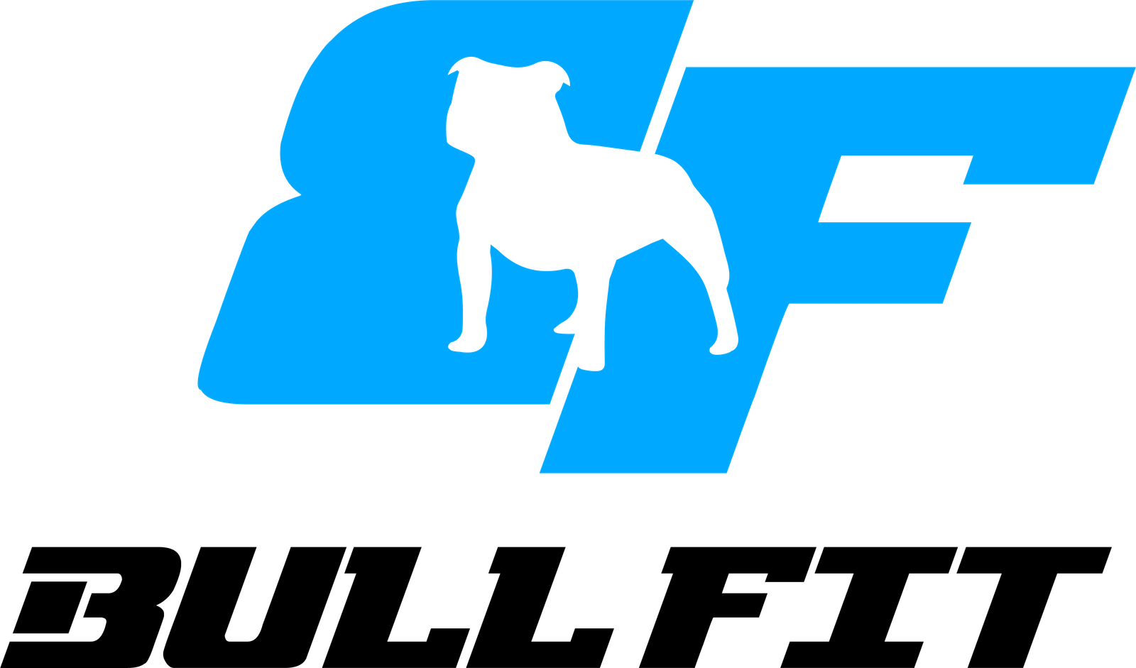 Bullfit